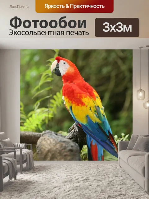 Фотообои Птицы