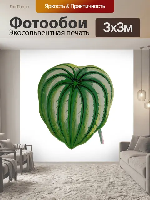 Фотообои Листва лист растение прозрачный