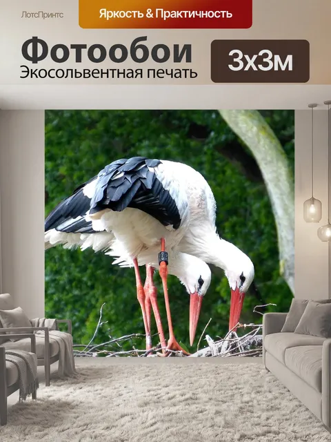 Фотообои Аисты