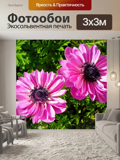 Фотообои Анемоны