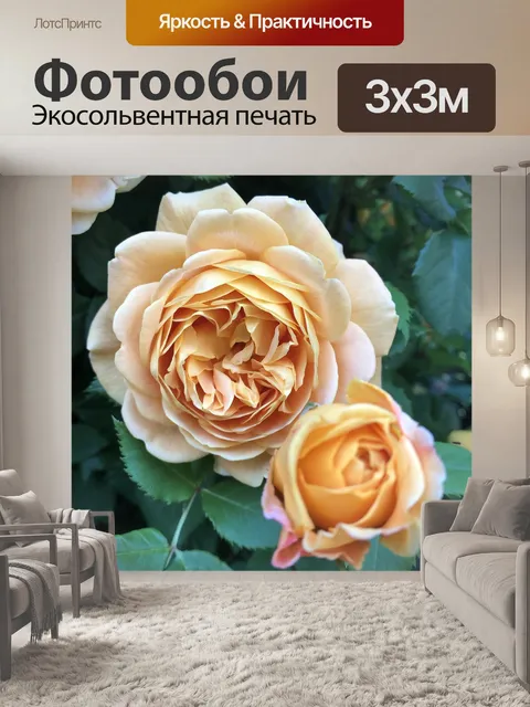 Фотообои Розы