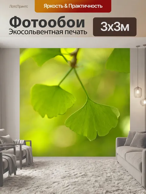 Фотообои Гинкго