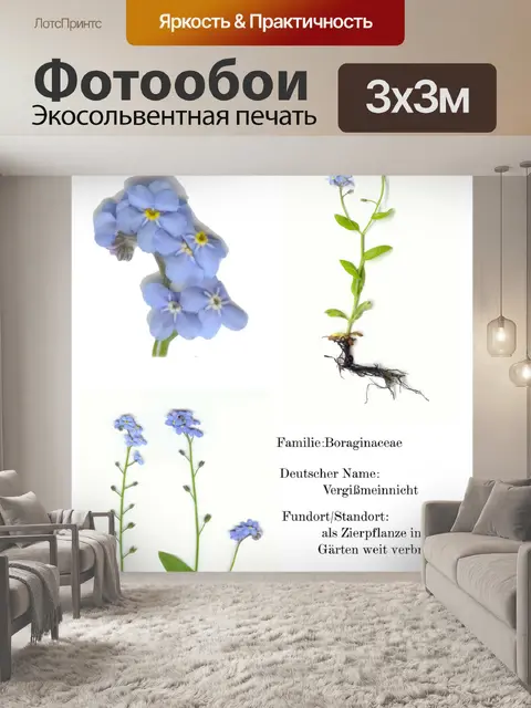 Фотообои Не забывай меня