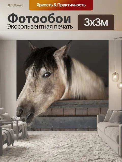 Фотообои Лошадь