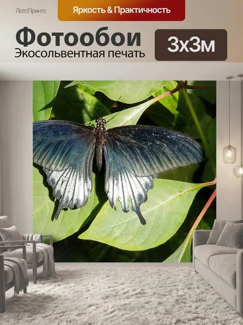 Фотообои Бабочка