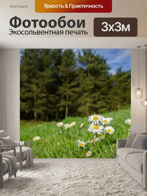 Фотообои Цветы на лугу