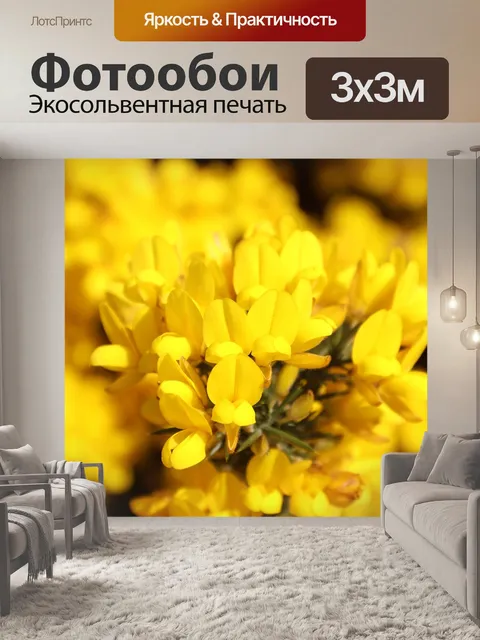 Фотообои Цветы