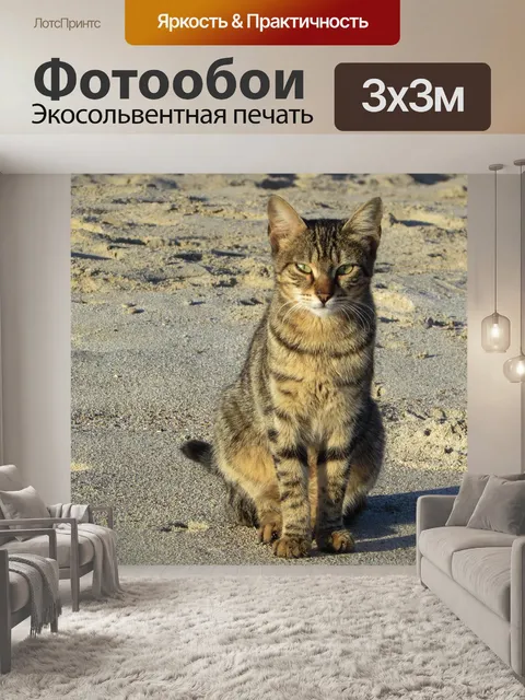 Фотообои Кошка