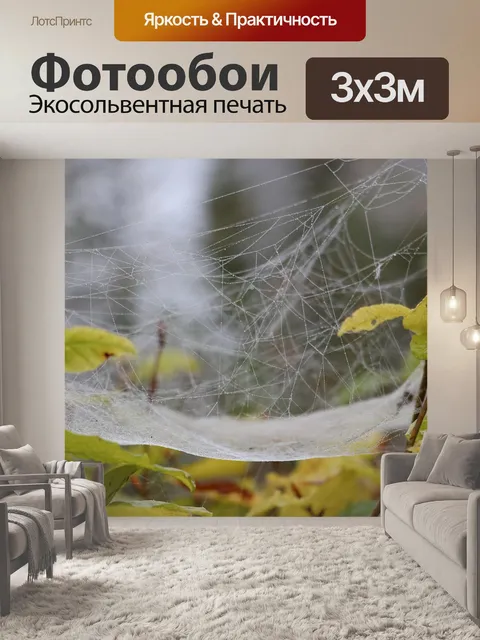 Фотообои Туман