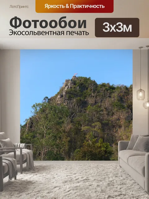 Фотообои Через