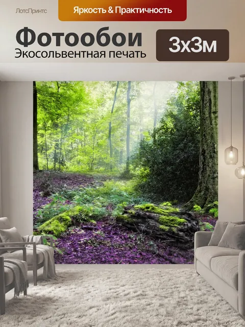 Фотообои Деревья Осенний лесной пейзаж