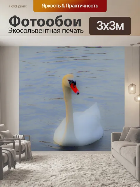 Фотообои Мечтательный Swan