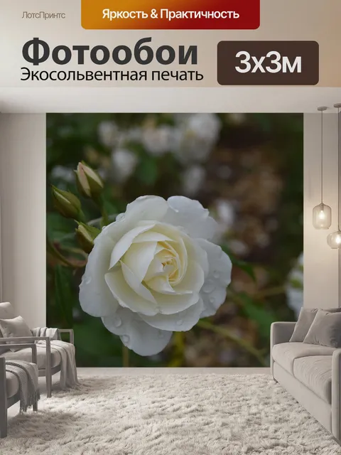 Фотообои Розовый