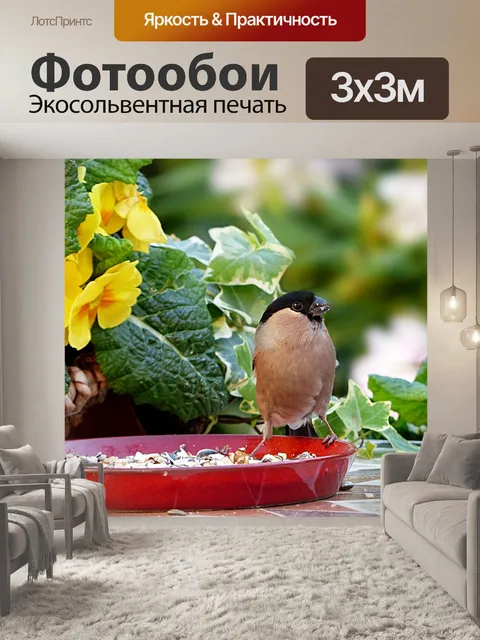 Фотообои Животное