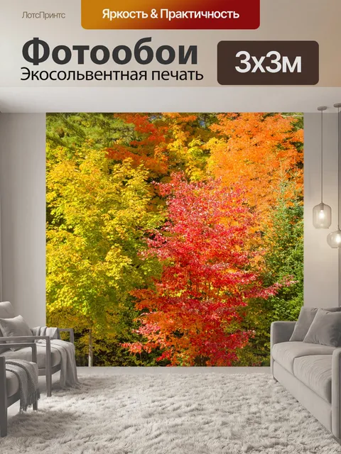 Фотообои Осенние деревья