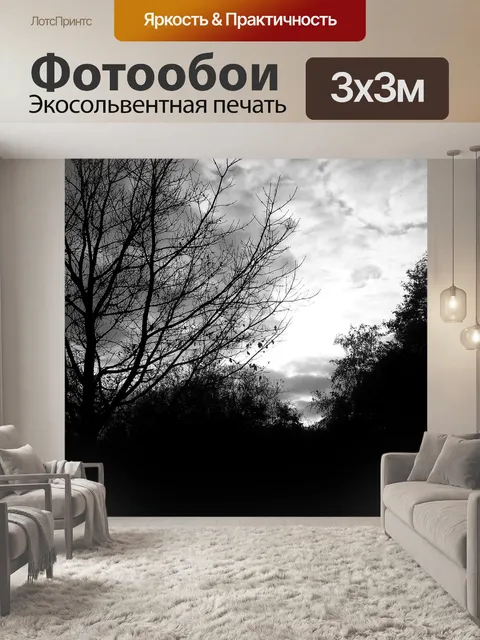 Фотообои Силуэт