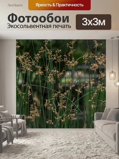 Фотообои Травы