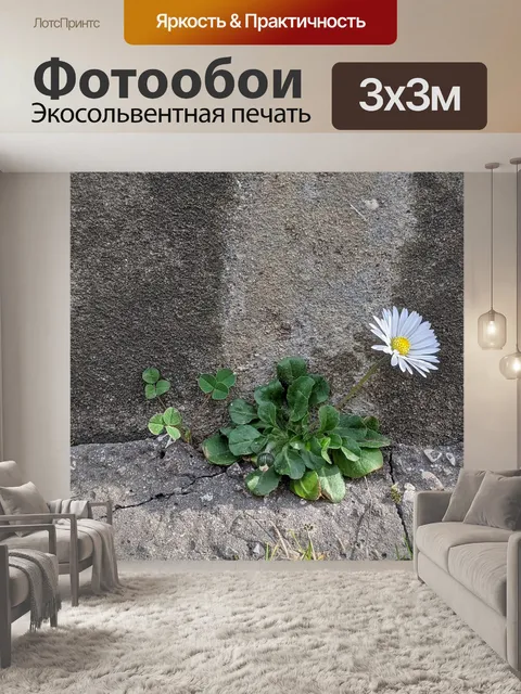 Фотообои Цветок
