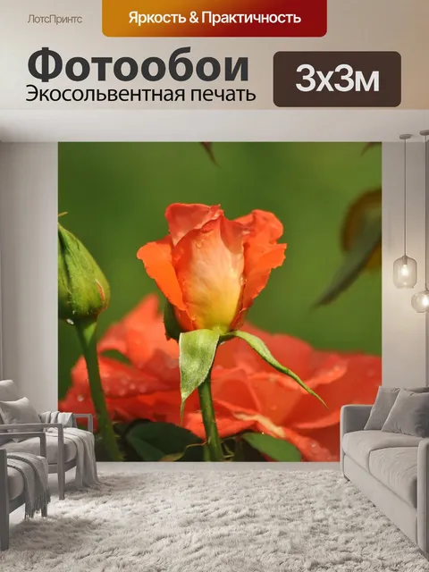 Фотообои Цветы
