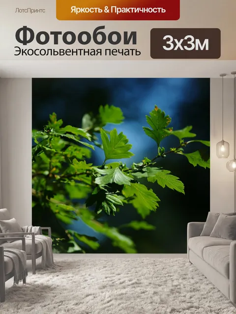 Фотообои Листья