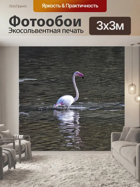 Фотообои Flamingos