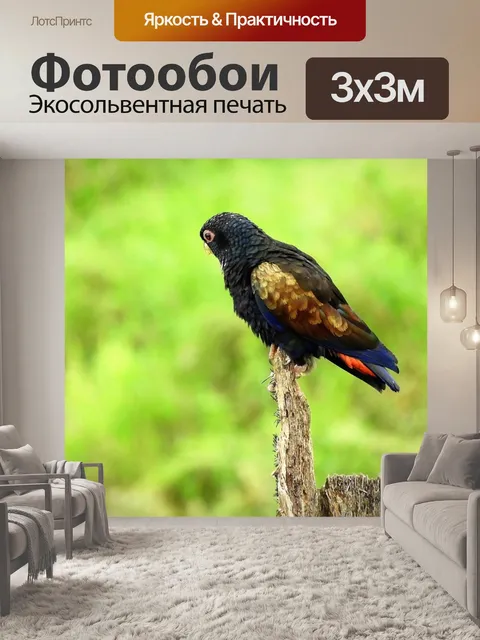 Фотообои Природа