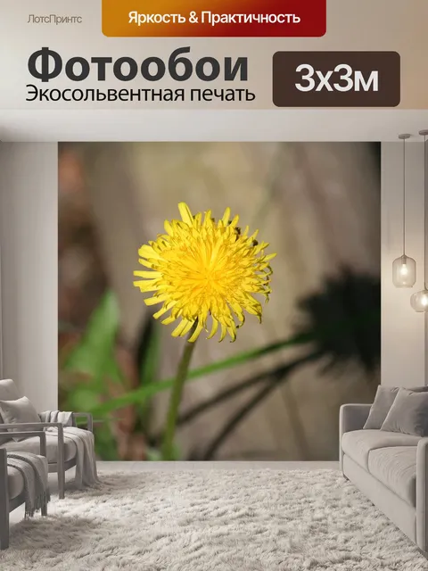 Фотообои Одуванчик