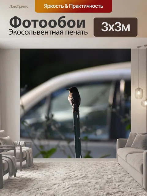 Фотообои Машина