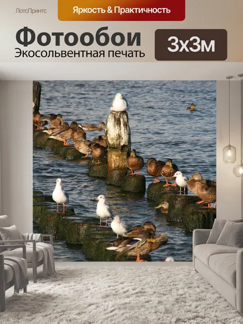 Фотообои Праздник
