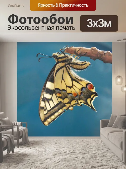 Фотообои Парусники бабочки