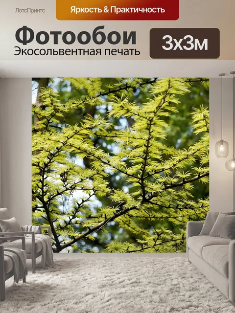 Фотообои Деревья