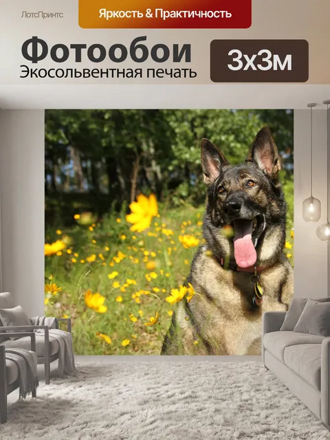 Фотообои Немецкая овчарка сидит в цветы