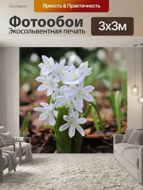 Фотообои Белый