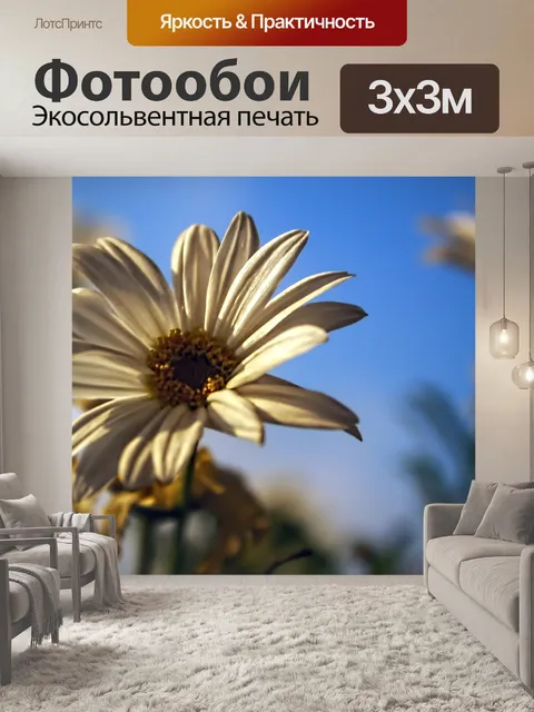 Фотообои Розы