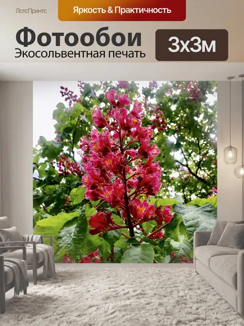 Фотообои Красный цветущий конский каштан