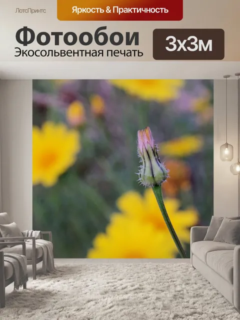 Фотообои Одуванчик
