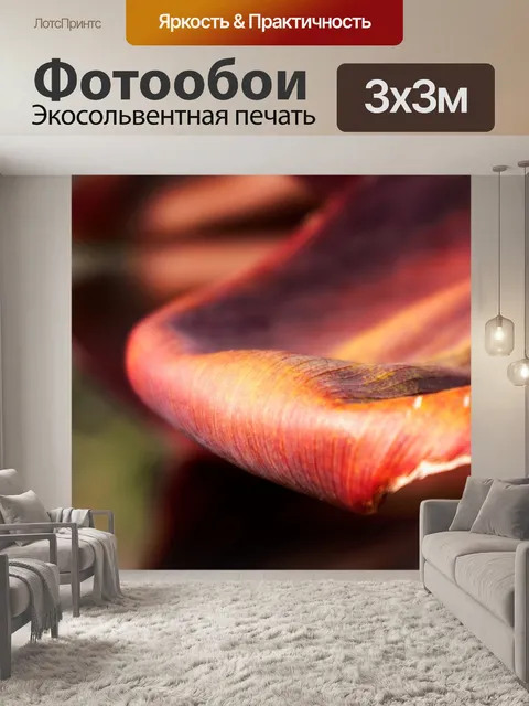 Фотообои Лист