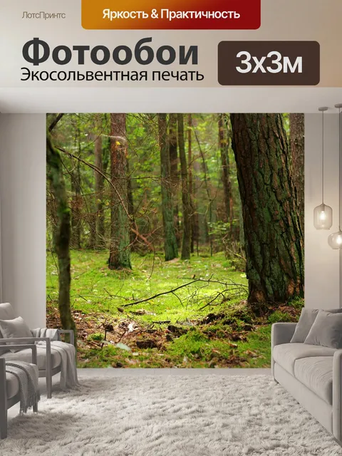 Фотообои Лес