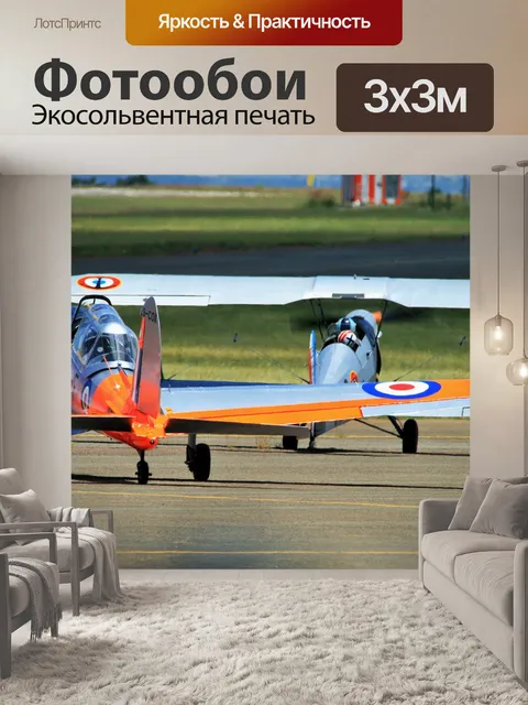 Фотообои биплан Stampe и бурундук