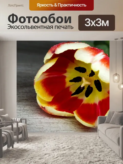 Фотообои Цветок