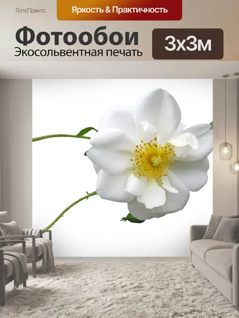 Фотообои Роза