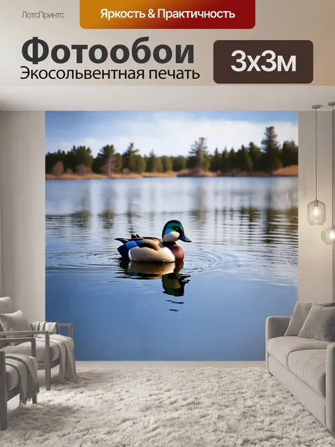Фотообои огарь плавно скользит по поверхности спокойного озера в вечернем свете