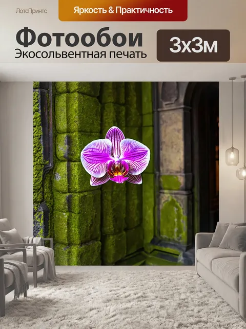 Фотообои орхидея, изображенная на фоне старинной архитектуры с замшелыми стенами