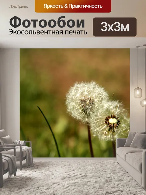 Фотообои Цветок
