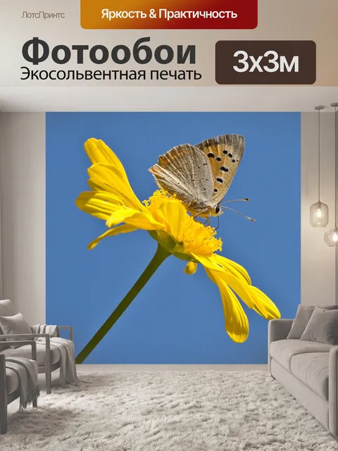 Фотообои Огонь фальтер