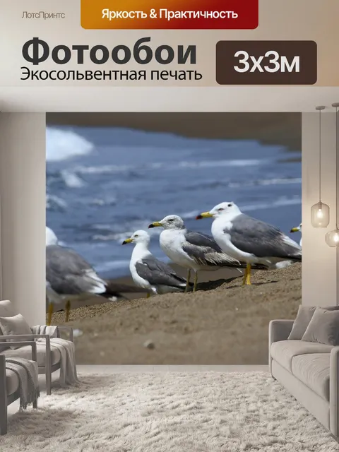 Фотообои Животное