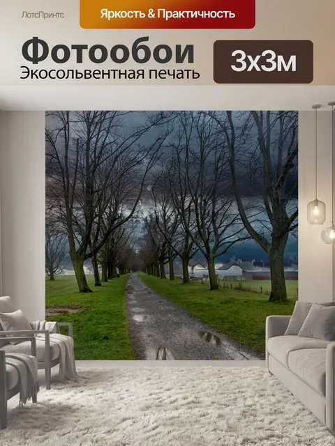 Фотообои Дорожка