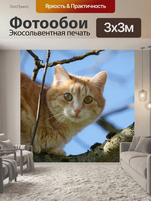 Фотообои Домашнее животное