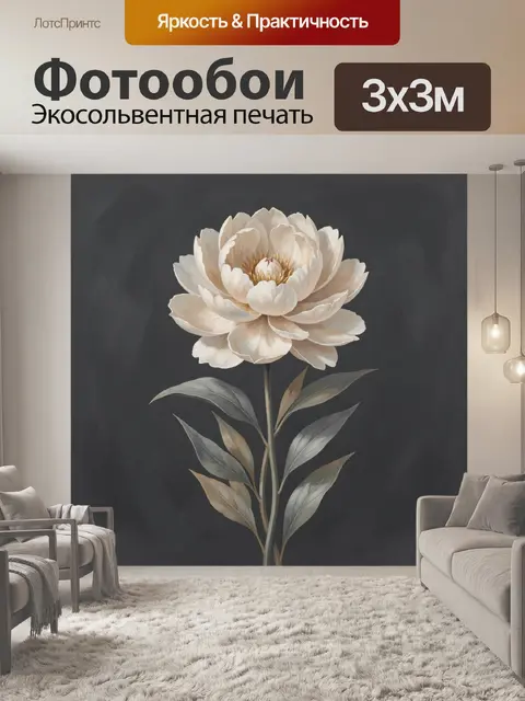 Фотообои Белый цветок на темном фоне