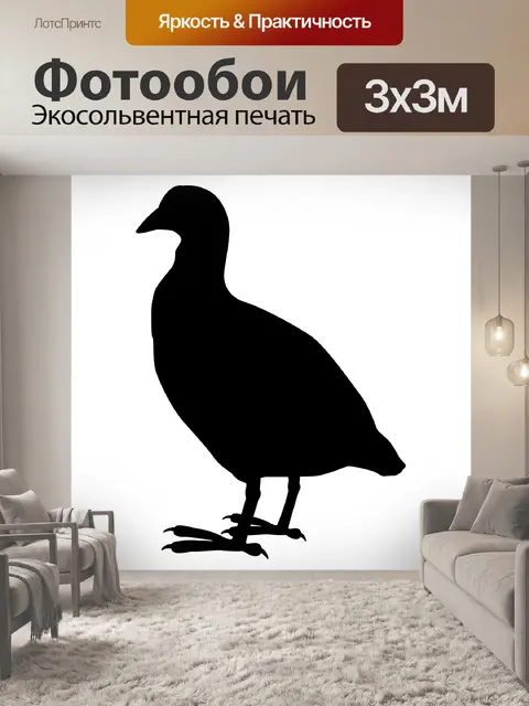 Фотообои Евразийский Кут